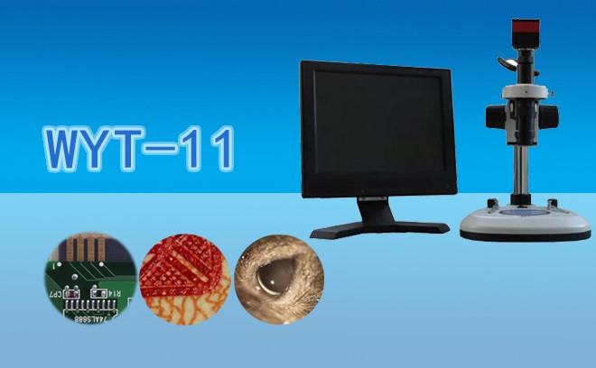九游会最新线路
WYT-11